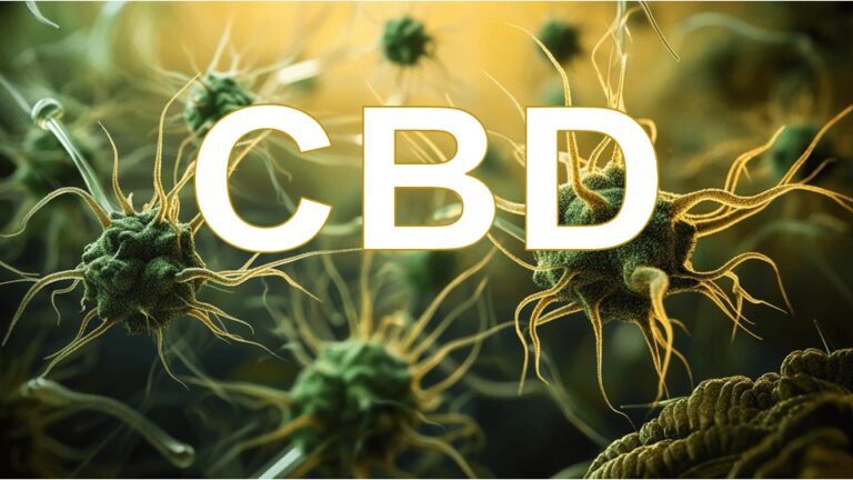 Hanfwell – Übersicht zu CBD-Produkten