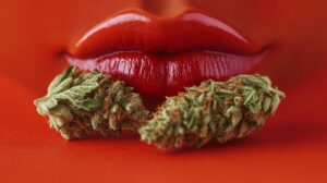 Hanfwell_Cannabis_Cannabisblüten_IMG